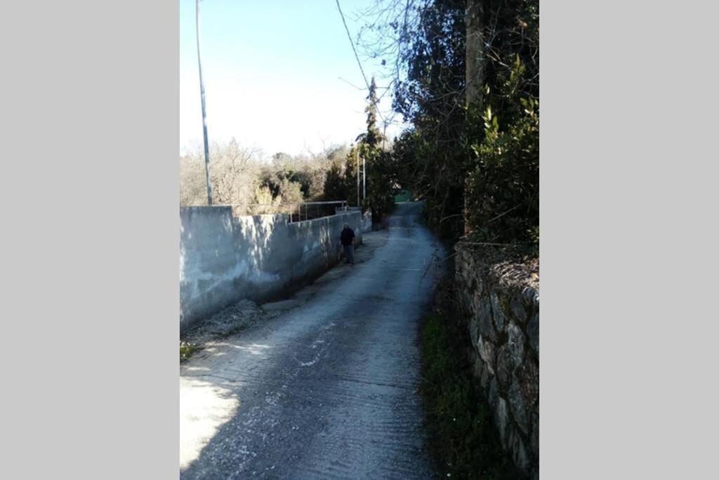 Υπεροχη Διαμονη... Achílleion Eksteriør billede